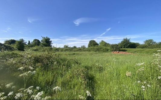 Plot with Planning in CHILCOMPTON photo